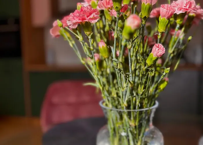 Goździkowy * Frombork